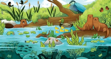 Ekosistem Özellikleri ve Faydaları Nelerdir?