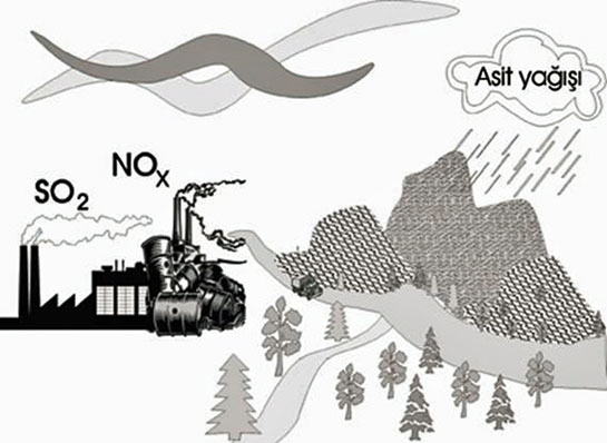 Asit Yağmuru Nedenleri ve Etkileri