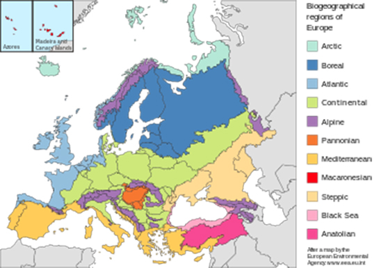 Biyocoğrafyanın Alt Dalları