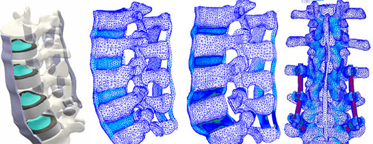 Biyomekanik Özellikleri ve Faydaları Nelerdir?