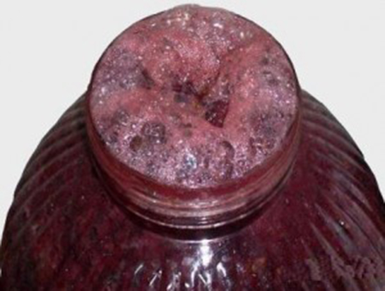 Fermantasyon Maddenin Köpürerek Kimyasal Olarak Çürümesi