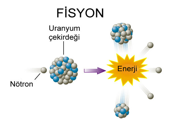 Fisyon Özellikleri ve Faydaları Nelerdir?