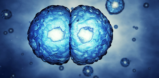 Hücre Özellikleri ve Faydaları Nelerdir?