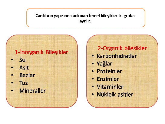 İnorganik Bileşikler Türleri ve Özellikleri