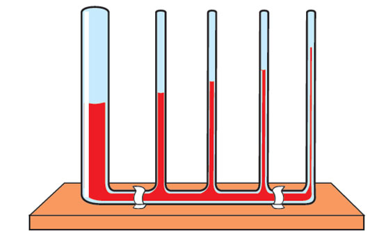 Kılcallık Özellikleri ve Faydaları Nelerdir?