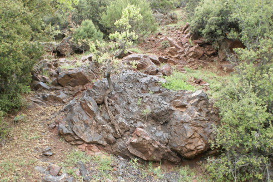 Manganez Özellikleri ve Faydaları Nelerdir?