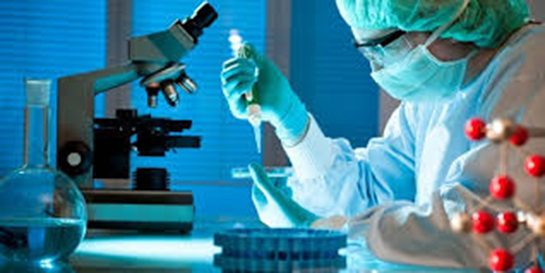 Moleküler Biyoloji Özellikleri ve Faydaları Nelerdir?