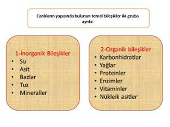 Organik ve İnorganik Bileşikler Özellikleri ve Faydaları Nelerdir?