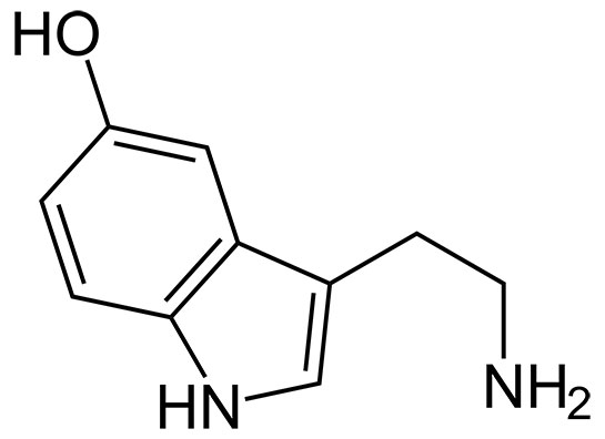 Serotonin Özellikleri ve Faydaları Nelerdir?