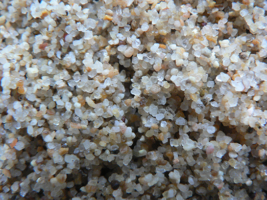 Silis Özellikleri ve Faydaları Nelerdir?