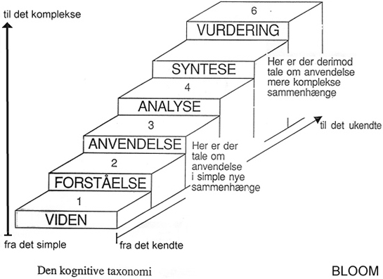 Taksonomi Özellikleri ve Faydaları Nelerdir?