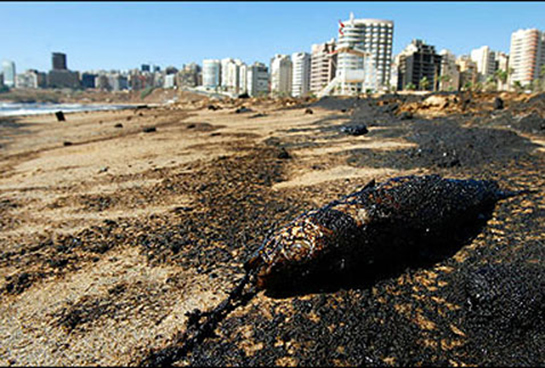 Toprak Kirliliği Nedenleri Nedir?